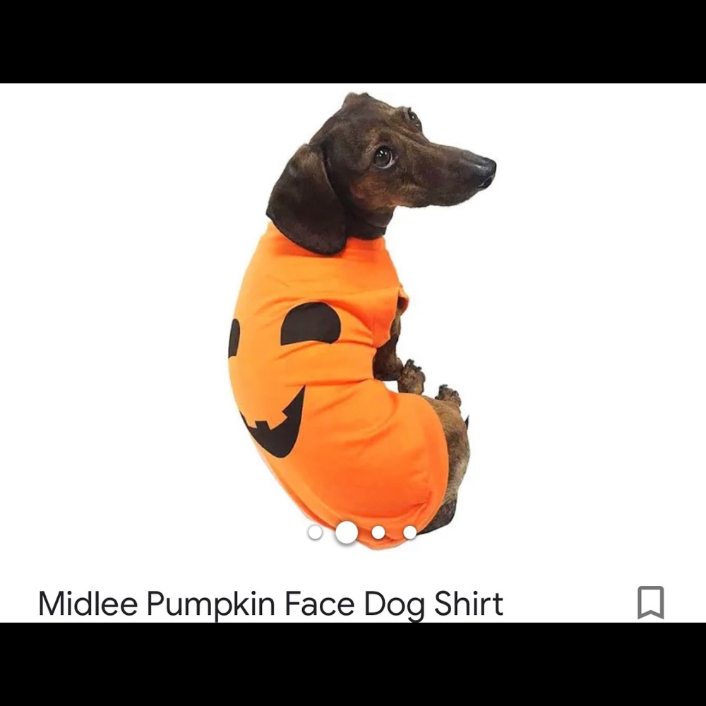 XL Costume